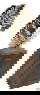 Zebra Shoulder Mount on Pedestal Base: Zebra shoulder mount taxidermy on pedestal baseheight 72 in. x width 22.5 in. x depth 35 in.Provenance: Property from a life-long African big game hunter, and displayed at his ranch