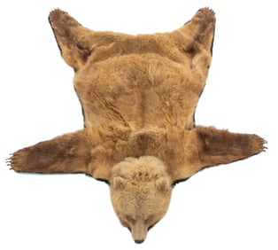 Grizzly Bear Rug