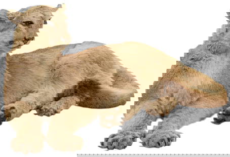 Mountain Lion Full Body Mount: Mountain lion full body mount taxidermyheight 17 in. x width 37 in. x depth 19 in.Provenance: Property from Dean Oatman's large Adkins, Texas ranch home's trophy room PLEASE NOTE: TEXAS RESIDENT