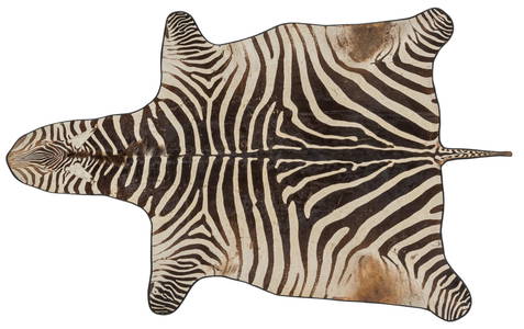 Zebra Hide