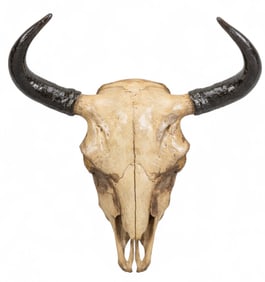 Buffalo Skull