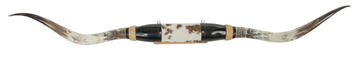 Longhorn Horn Mount