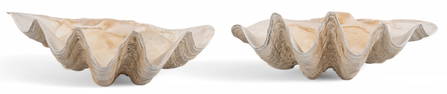 (2) Clamshell Halves