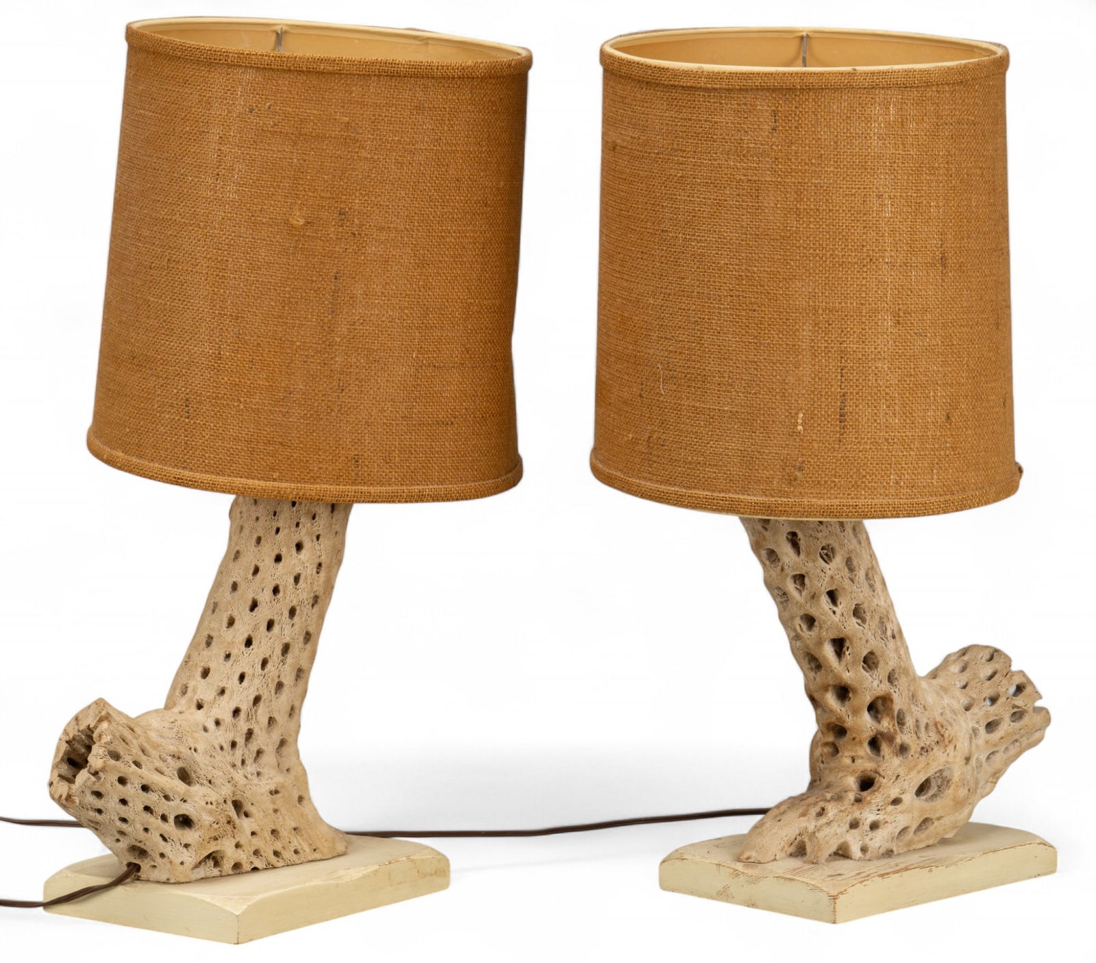 Pair of Cholla Cactus Lamps (1 of 9)