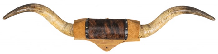 Longhorn Wall Mount