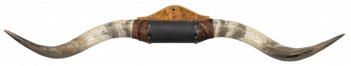 Longhorn Wall Mount