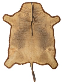 Wildebeest Hide Rug, 7 ft. 10 in. x 5 ft. 8 in.
