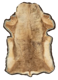 Bearskin Rug, 6 ft. 3 in. x 4 ft. 8 in.