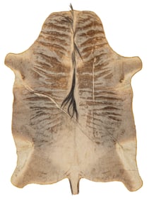Wildebeest Hide Rug, 6 ft. 8 in. x 5 ft. 1 in.