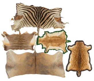 Collection of (5) Animal Hide Rugs