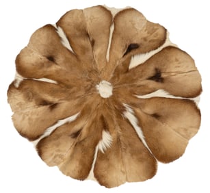 Springbok Hide Rug, 41 in.