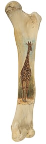 Elephant Femur with Giraffe Painting