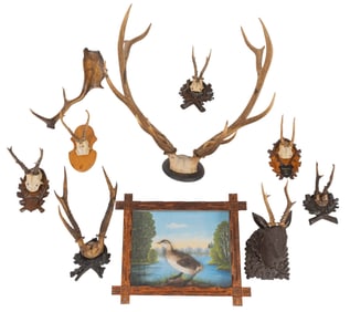 Collection of Hunting Trophies & Painting