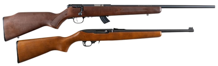 Ruger 10/22 and Savage Mark II 22 LR Rifles