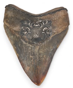 Megalodon Tooth with Sterling Monogram