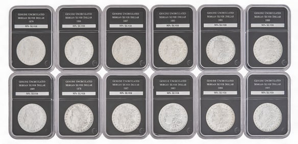 (12) Morgan Silver Dollars