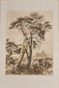 "Scotch Fir", 19th-C. Etching