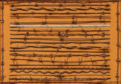 Barbed Wire Display