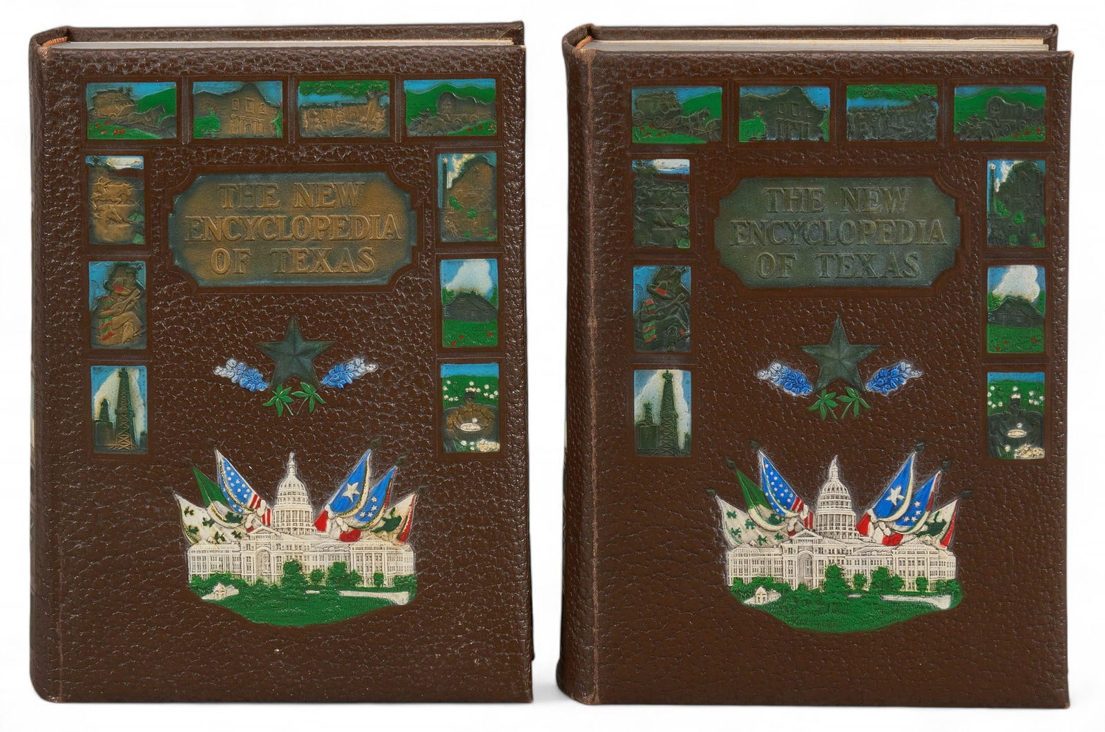 Texas Historical Society, New Encyclopedia of Texas, 2 Vol. (1 of 8)