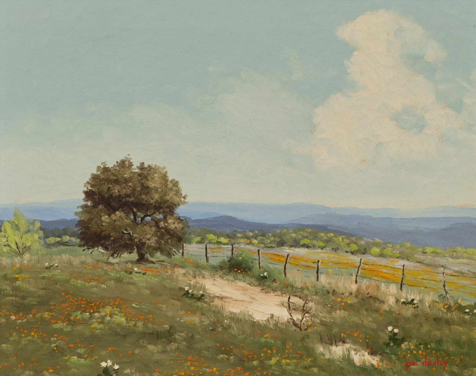 Jim Dooley, Hill Country Summer Landscape (1 of 4)