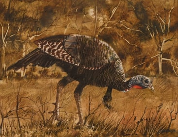 Ragan Gennusa, Tom Turkey