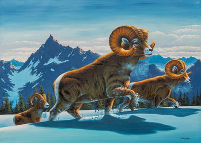 Chong Ung, Bighorn Sheep in Snow