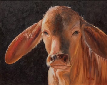Lisa Leal, "Texas Brahman Heifer"