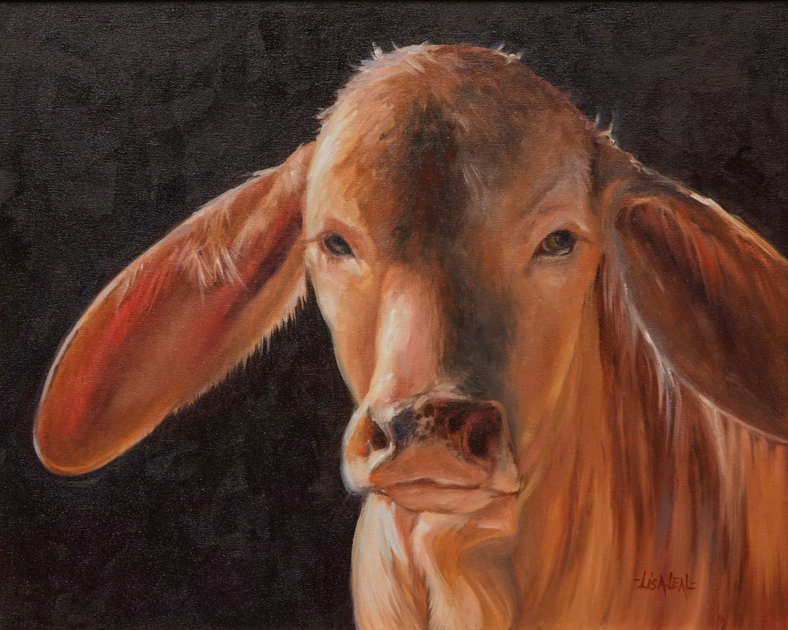 Lisa Leal, "Texas Brahman Heifer" (1 of 4)