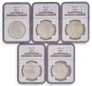 (5) Graded Morgan Silver Dollars