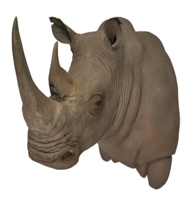 Large Rhino Shoulder Mount