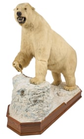 Full Body Polar Bear Display