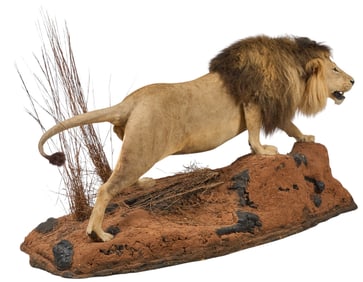 Full Body Lion with Dark Mane