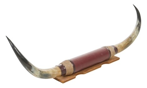 Longhorn Horn Mount