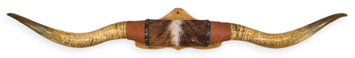 Longhorn Wall Mount
