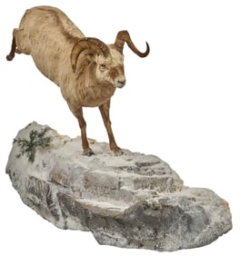 Full Body Stone Sheep on Snow