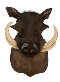 Warthog Shoulder Mount