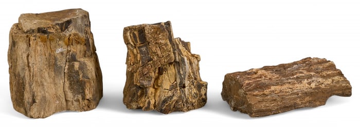 (3) Petrified Wood Pieces