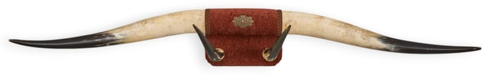 Double-Horned Wall Mount