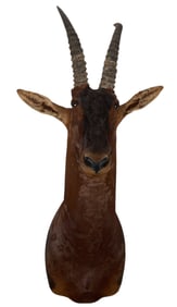 Topi Shoulder Mount