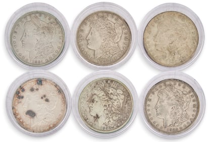 (6) Morgan Silver Dollars