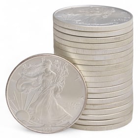 (20) American Silver Eagle Coins