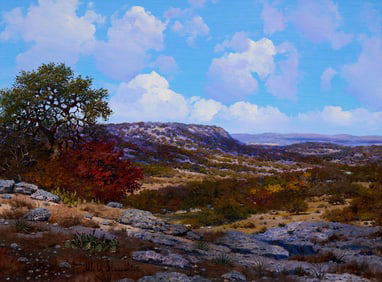 W. A. Slaughter, Hill Country Vista