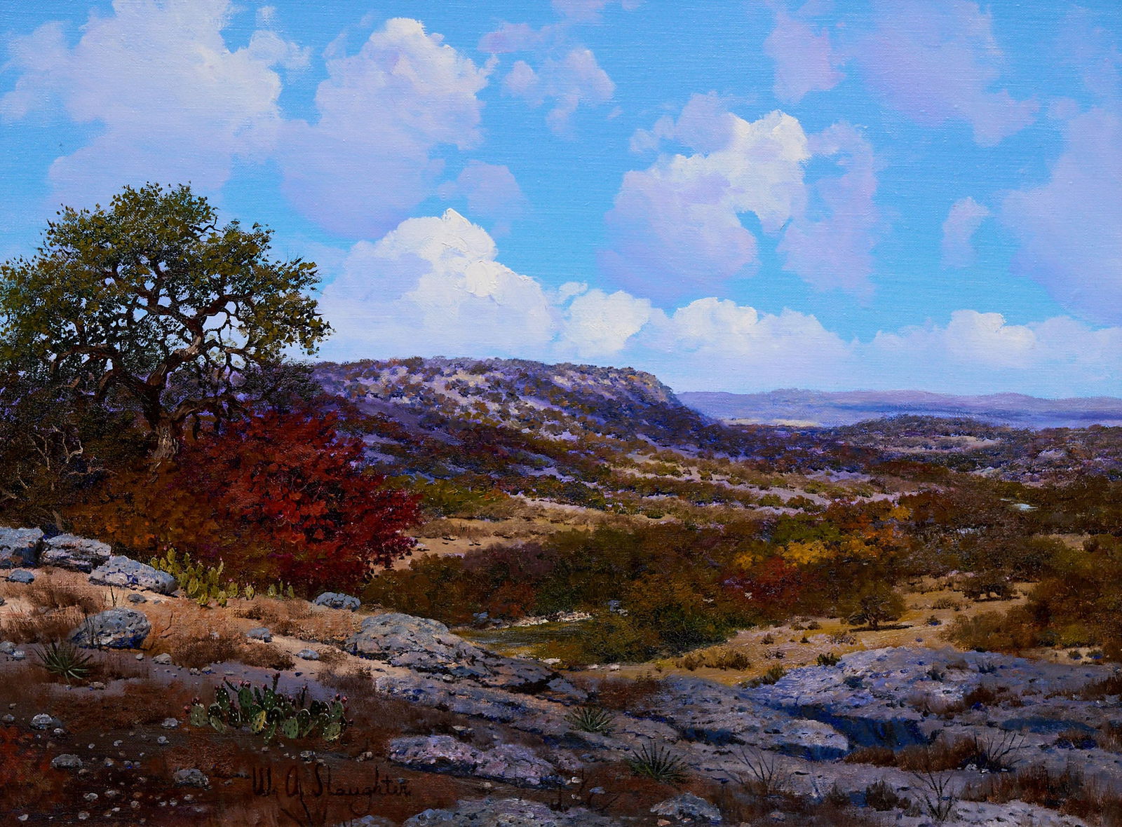 W. A. Slaughter, Hill Country Vista
