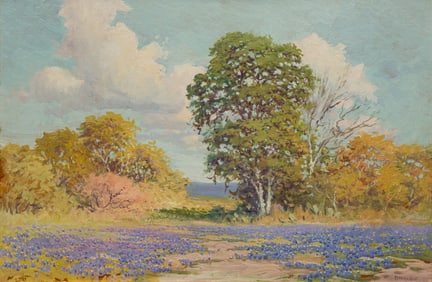 Peter Hohnstedt, Field of Bluebonnets