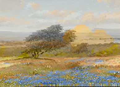 Porfirio Salinas, Bluebonnet Landscape
