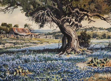 James Boren, "Bluebonnet & Bosque Country"
