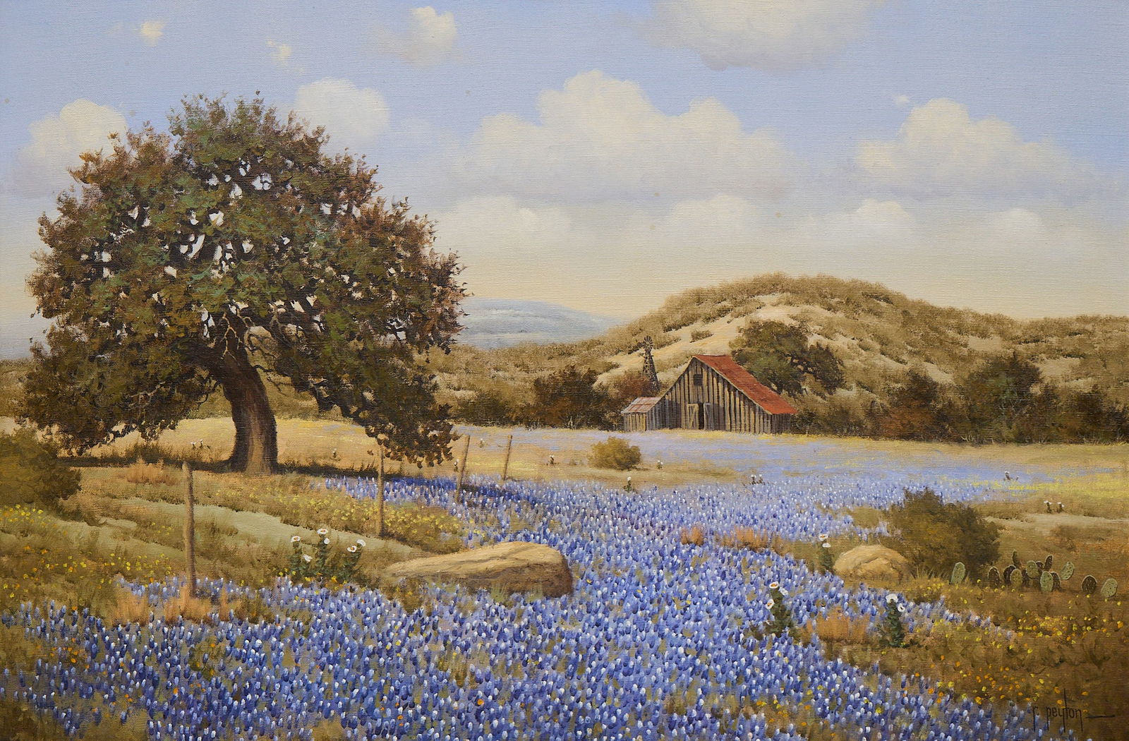 Randy Peyton, Bluebonnet Landscape (1 of 4)