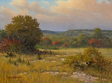 Rick Patterson, "Hill Country Colors"