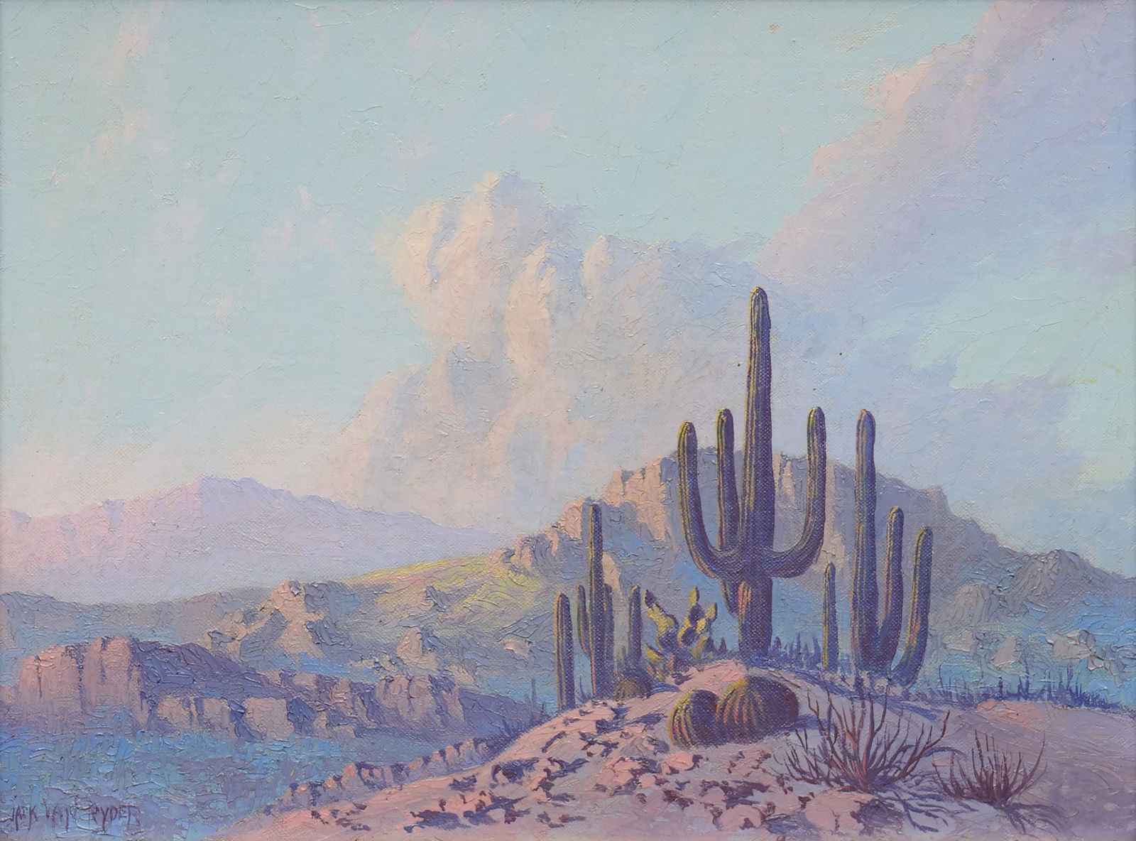 Jack van Ryder, Saguaro and Mountain Landscape (1 of 4)
