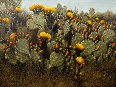 Helen Hunter, "South Texas Spring", 1971